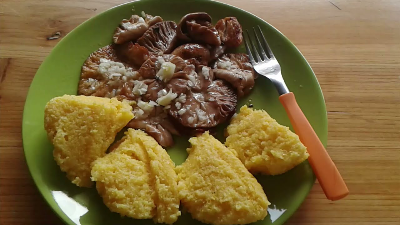 După PÂINIȘOARE și PARASOLI (Ciuperci de vară MINUNATE) !!!