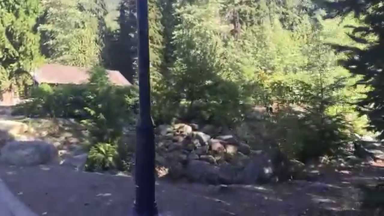 Walking from Whistler Village to Upper Village