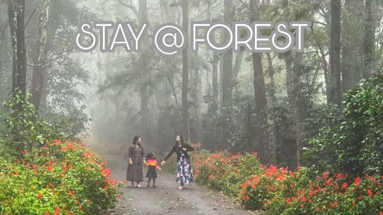🌿Stay @ forest, in a beautiful resort|Nelliyampathy trip|travel vlog|green land farm house resort😇😍