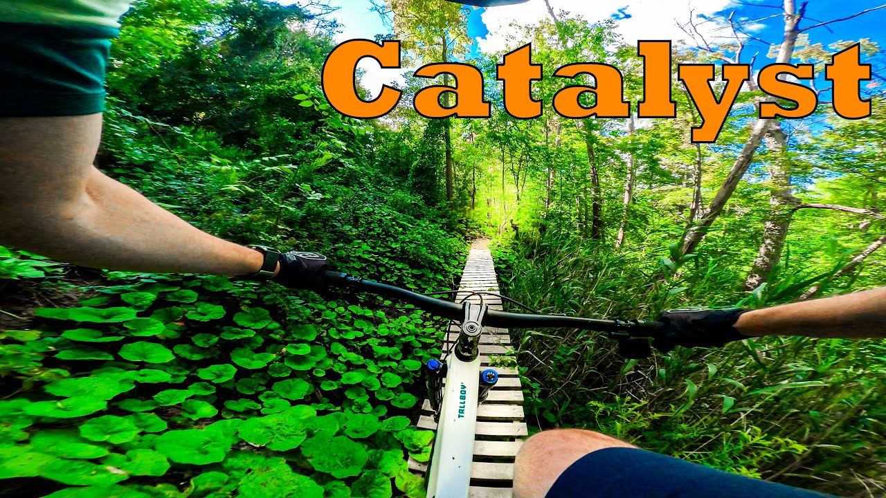 Don Valley Mountain Bike: Catalyst POV 2025