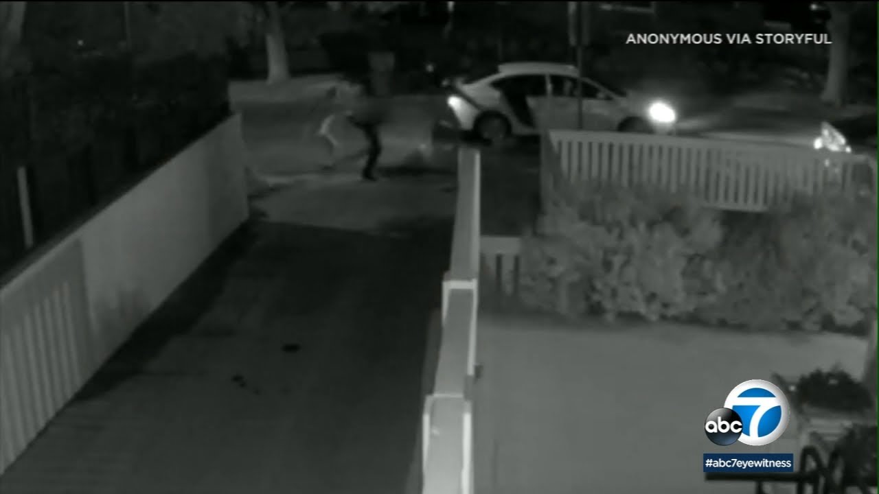 New video shows attack on Lady Gaga’s dog walker in Hollywood | ABC7