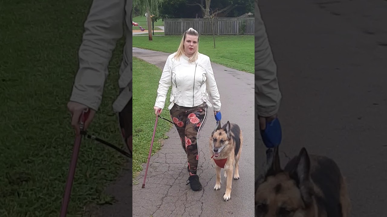 HSP: How I walk my dog. (Not a service dog)