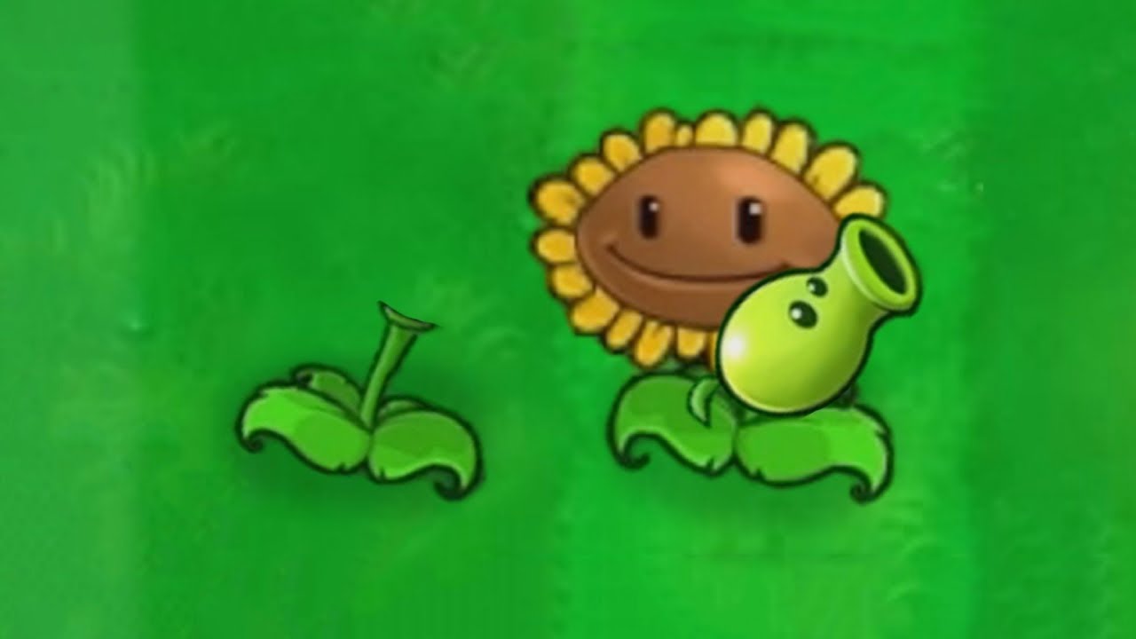 把豌豆射手的头还回去！【我真是小熊】