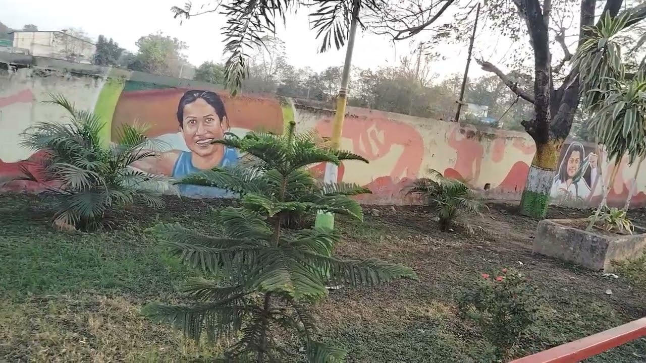 ଅନୁଗୋଳ ସହର ପରିଭ୍ରମଣ କଲି