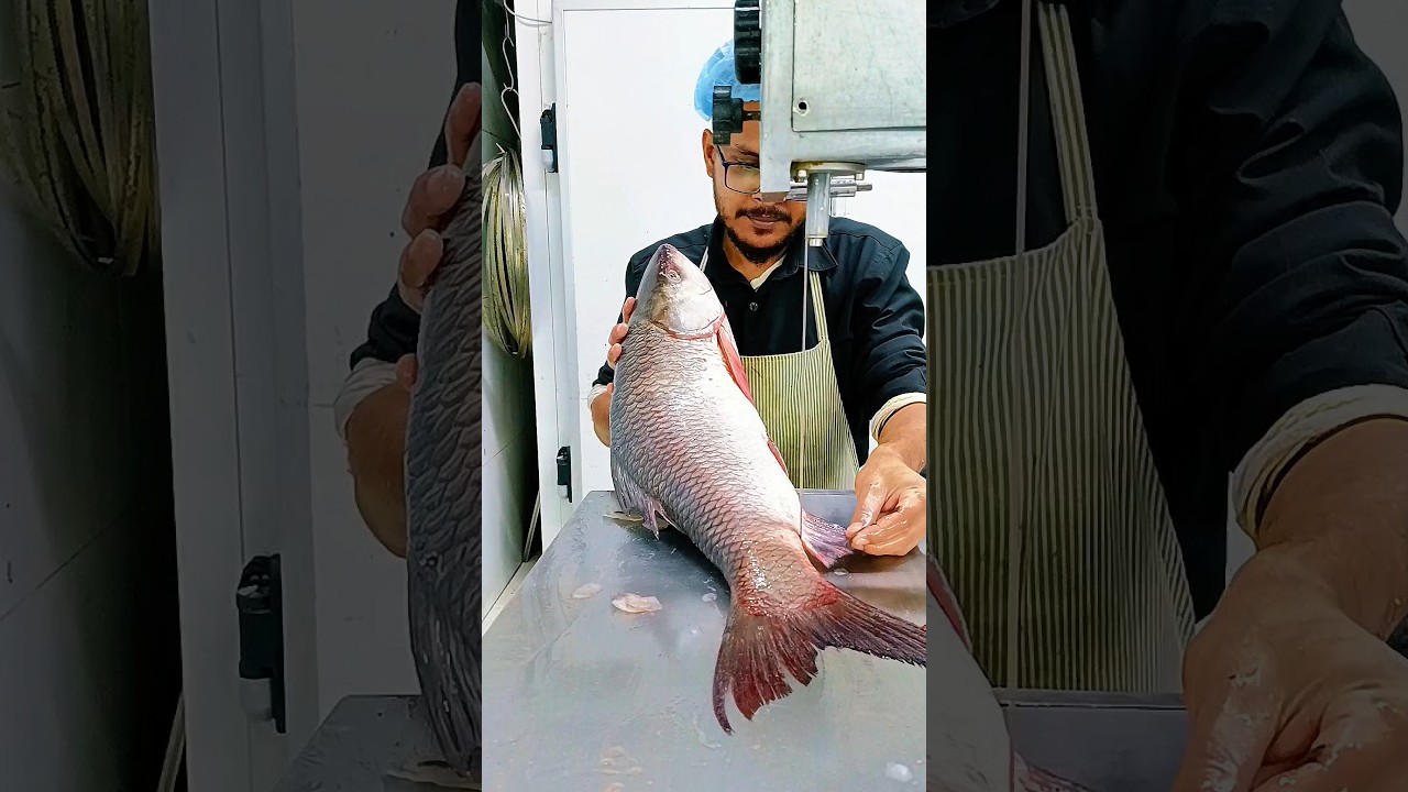River giant Rohu fish cutting skills video #shortvideo #youtubeshorts #viral #fishing #video