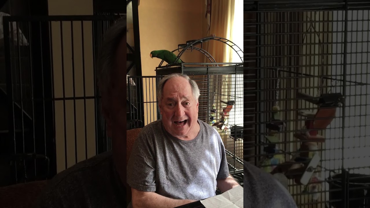 Neil Sedaka - A Medley To Brighten Up Your Day