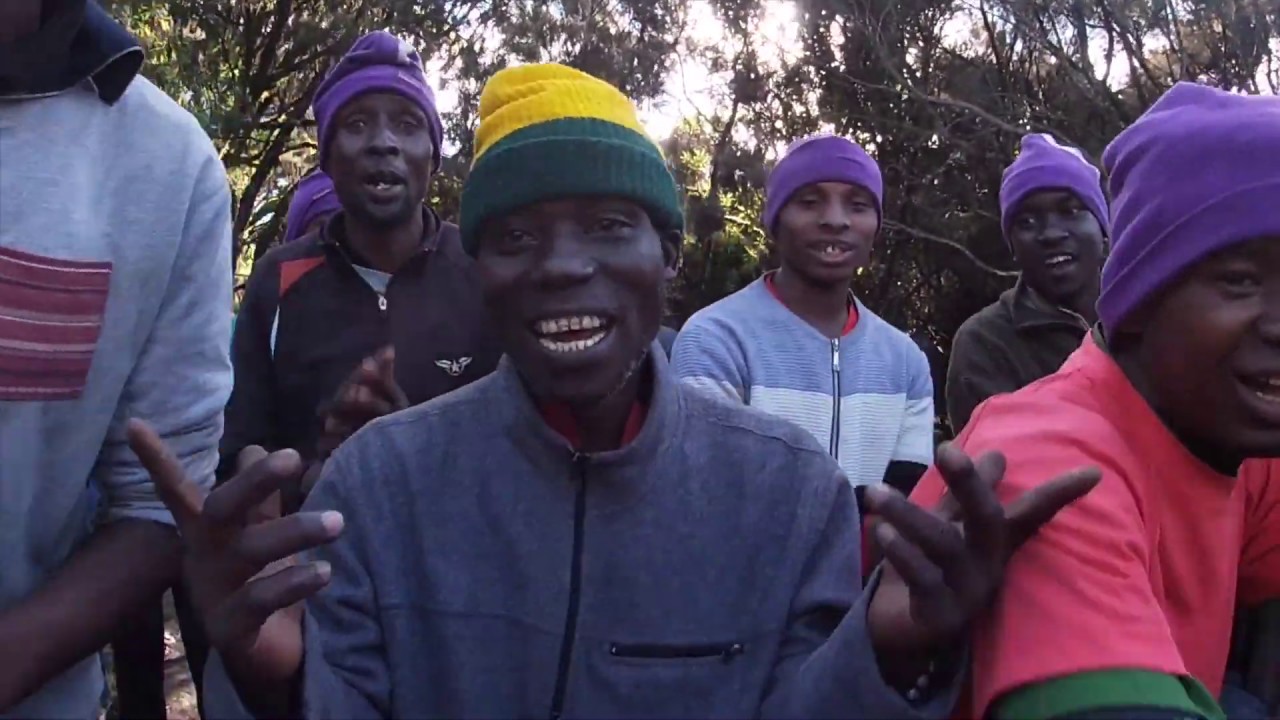 Mt. Kilimanjaro Trek - 6 day Machame Route with G Adventures