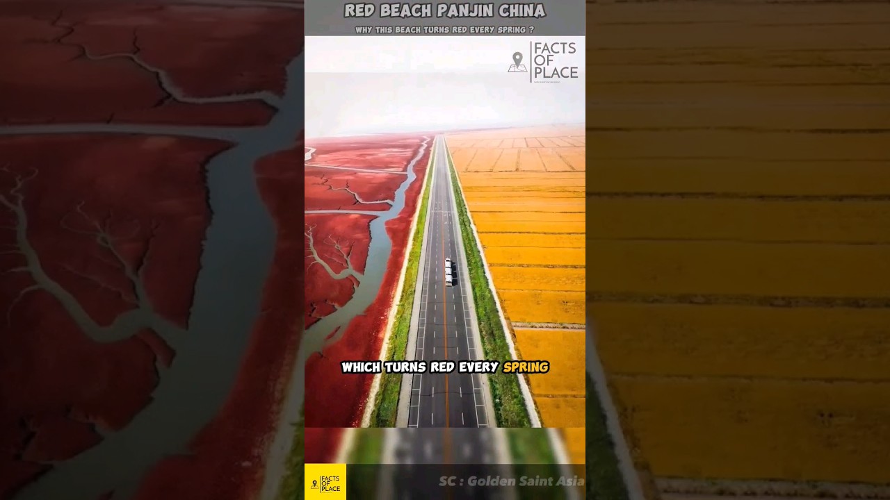 Why This Beach Turns Red Every Spring ? #redbeach #shorts #viral #trending