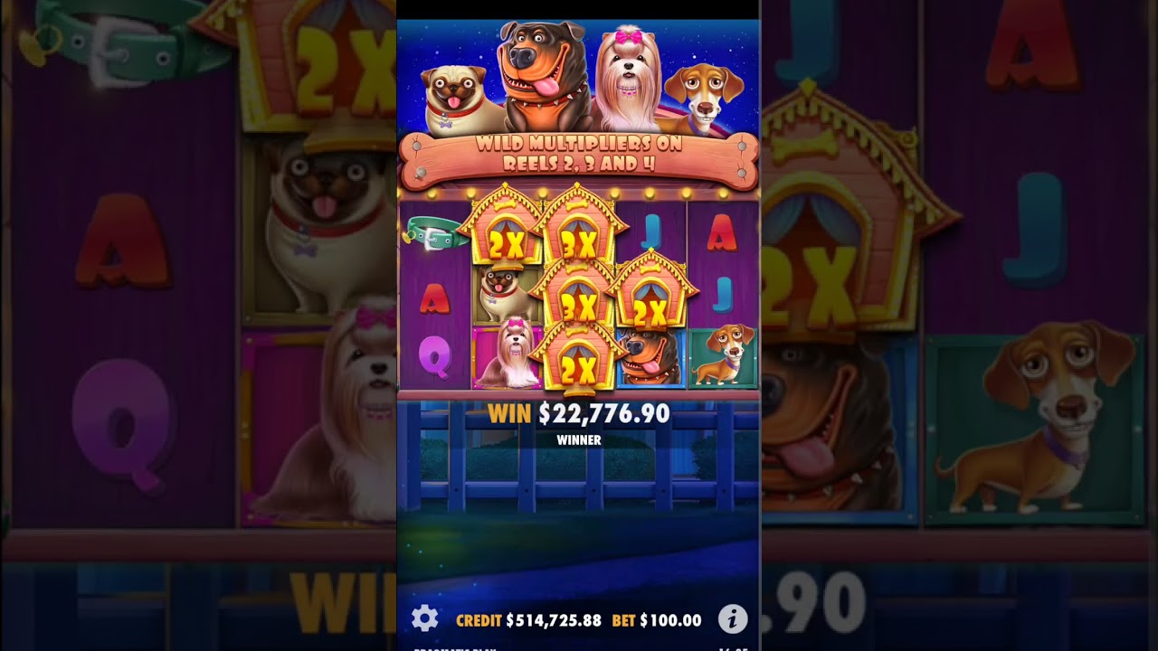 FREE SPIN BIG WIN IN THE DOG HOUSE CASINO SLOTS BY PRAGMATIC PLAY
