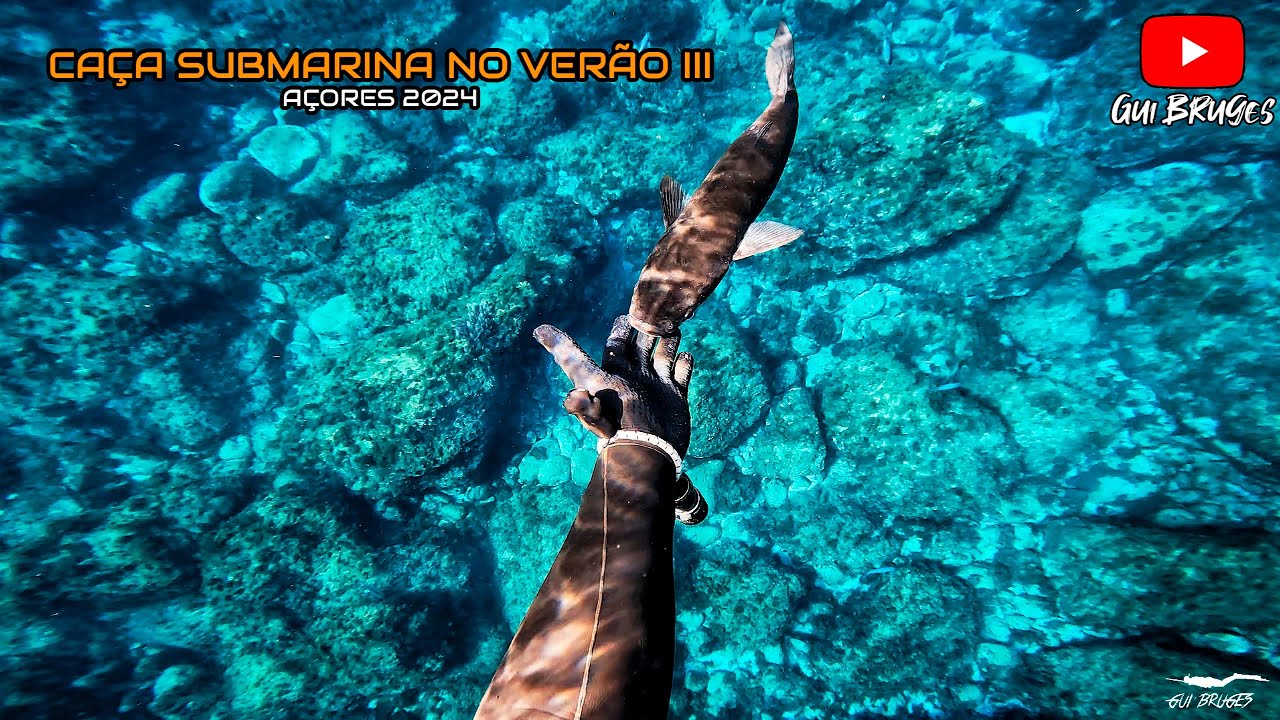Caça submarina no Verão III -  Açores 2024