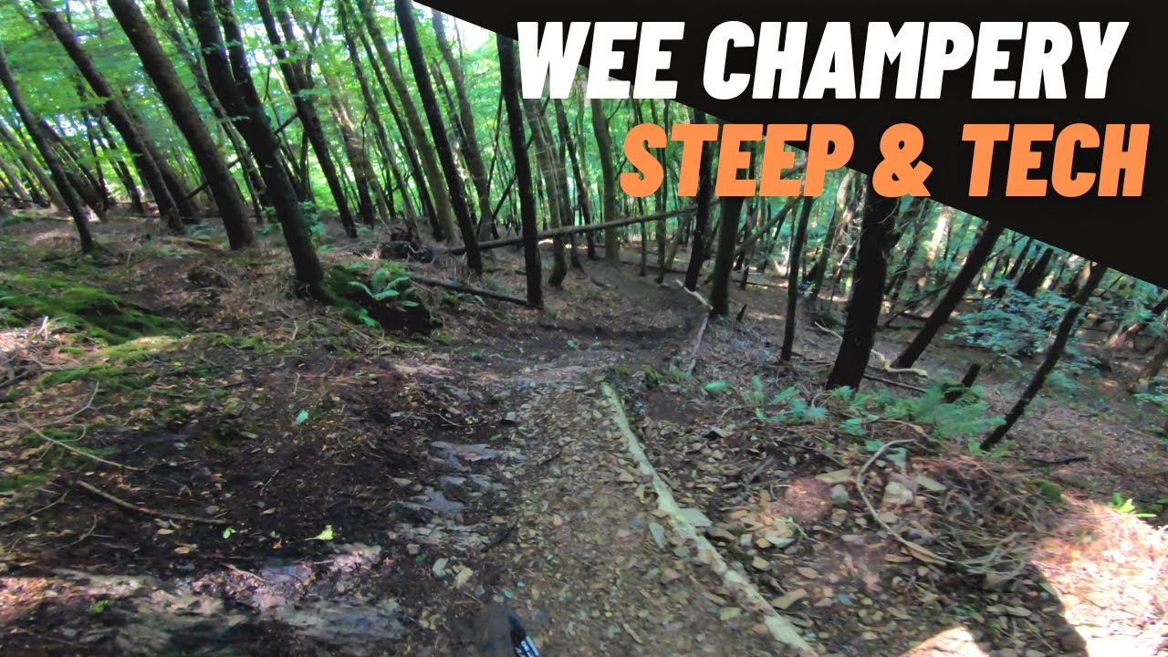 Full Wee Champery Trail - Tollymore Forest