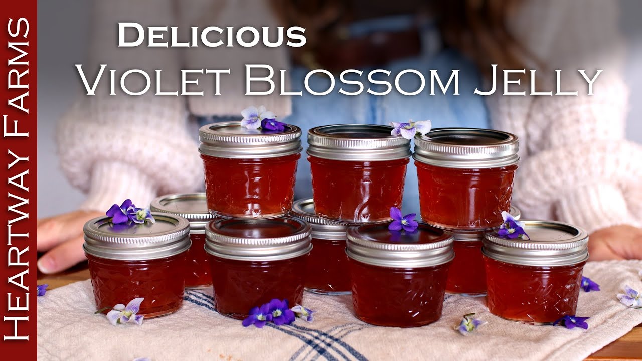 Making Jelly Out Of Wild Flowers! How-to make violet blossom jelly!
