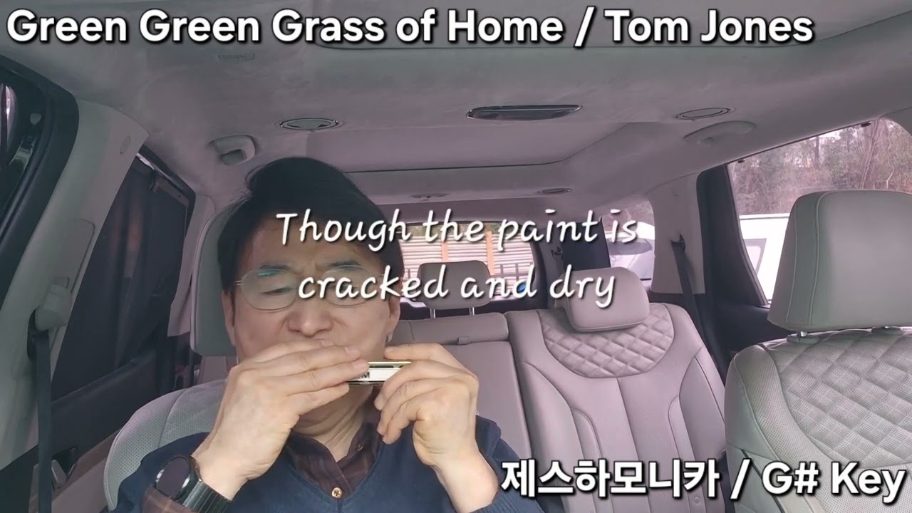 Green Green Grass of Home / Tom Jones _ 하모니카 연주 (Harmonica Cover) (G# Key)