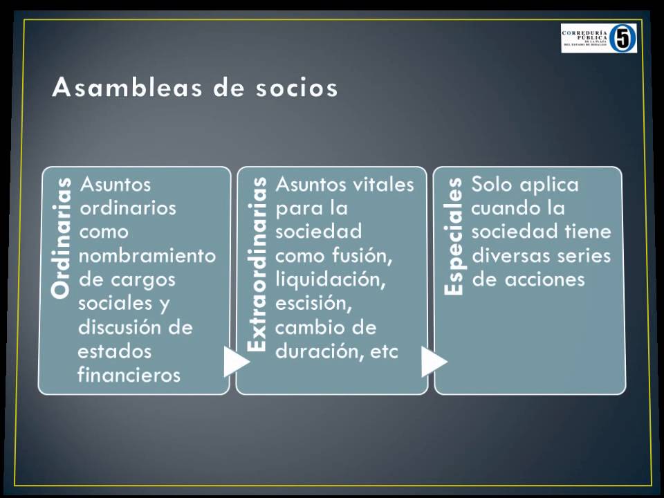 La Sociedad anónima 2