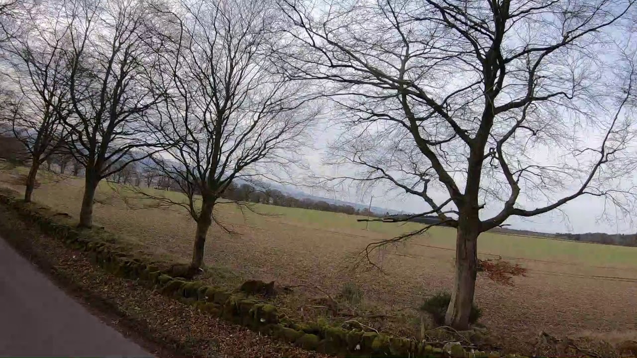 Flying High. FPV KWAD
