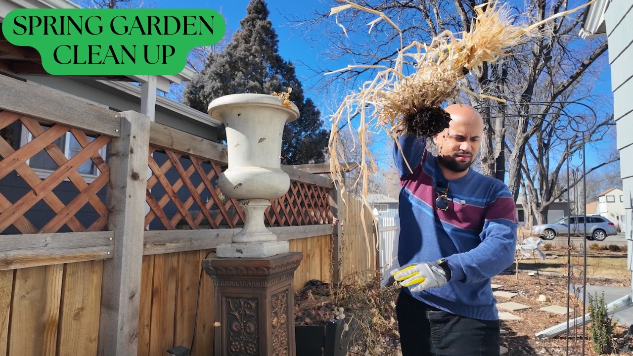 First Day in The Garden with New Gloves, Satisfying Spring Clean Up, and Defoliating Roses