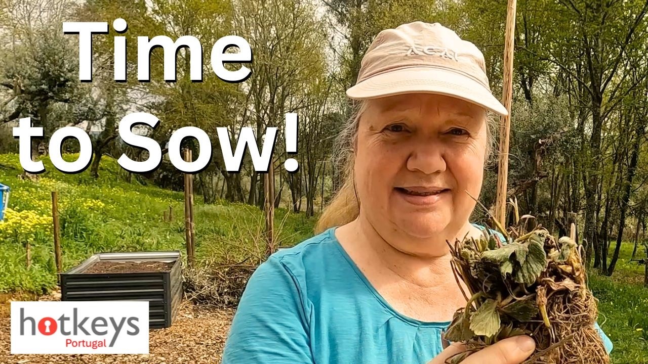 Время сеять 🌱 Весна пришла на нашу португальскую ферму - EP123