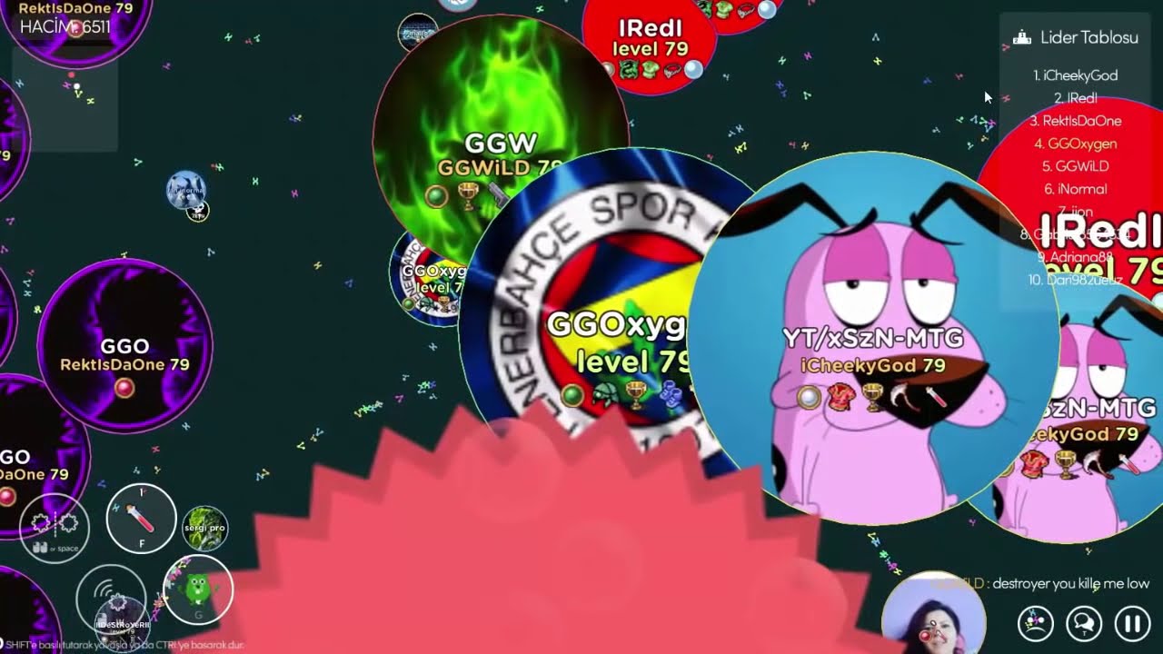 Mitosis The Game//PETSPLIT ??//53.280K//SPLIT PARTY/500 SPECIAL