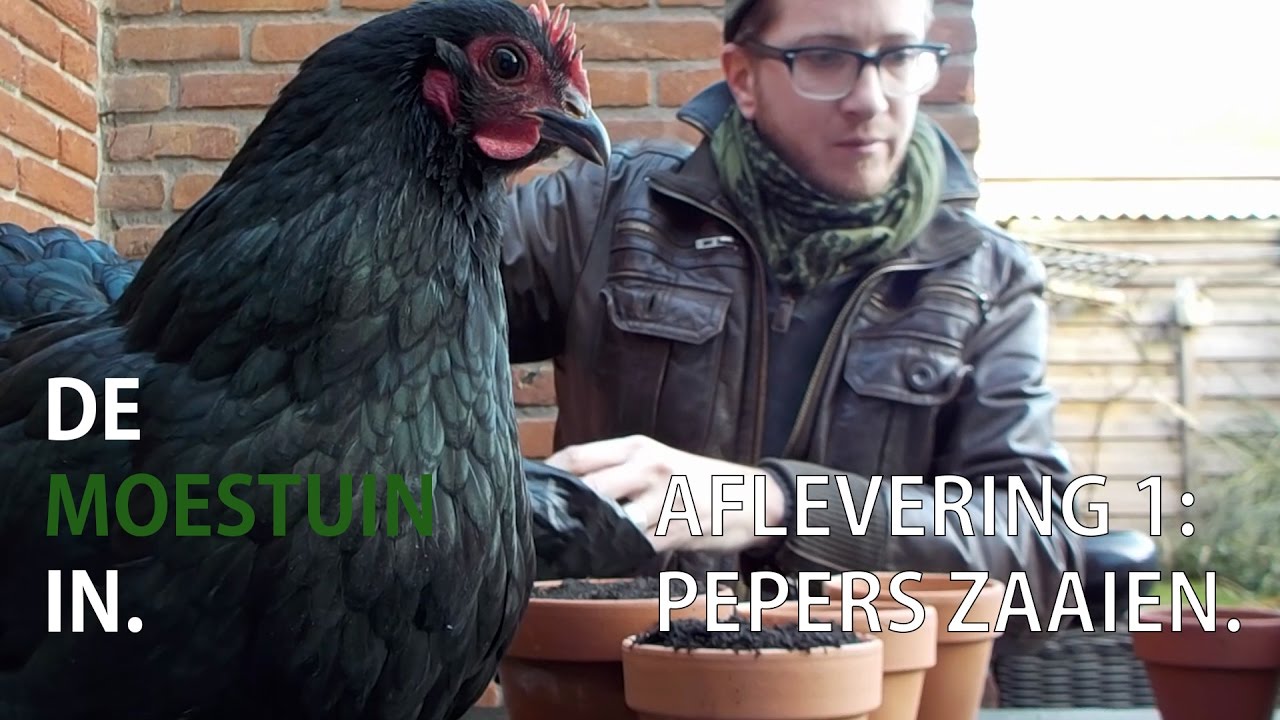 De moestuin in. Vlog #1 - Pepers zaaien