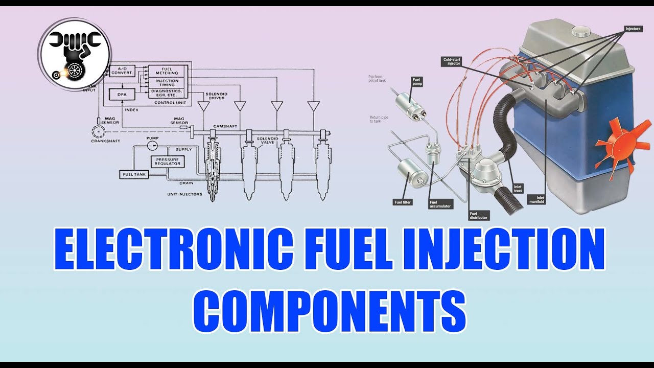 ELECTRONIC FUEL INJECTION COMPONENTS