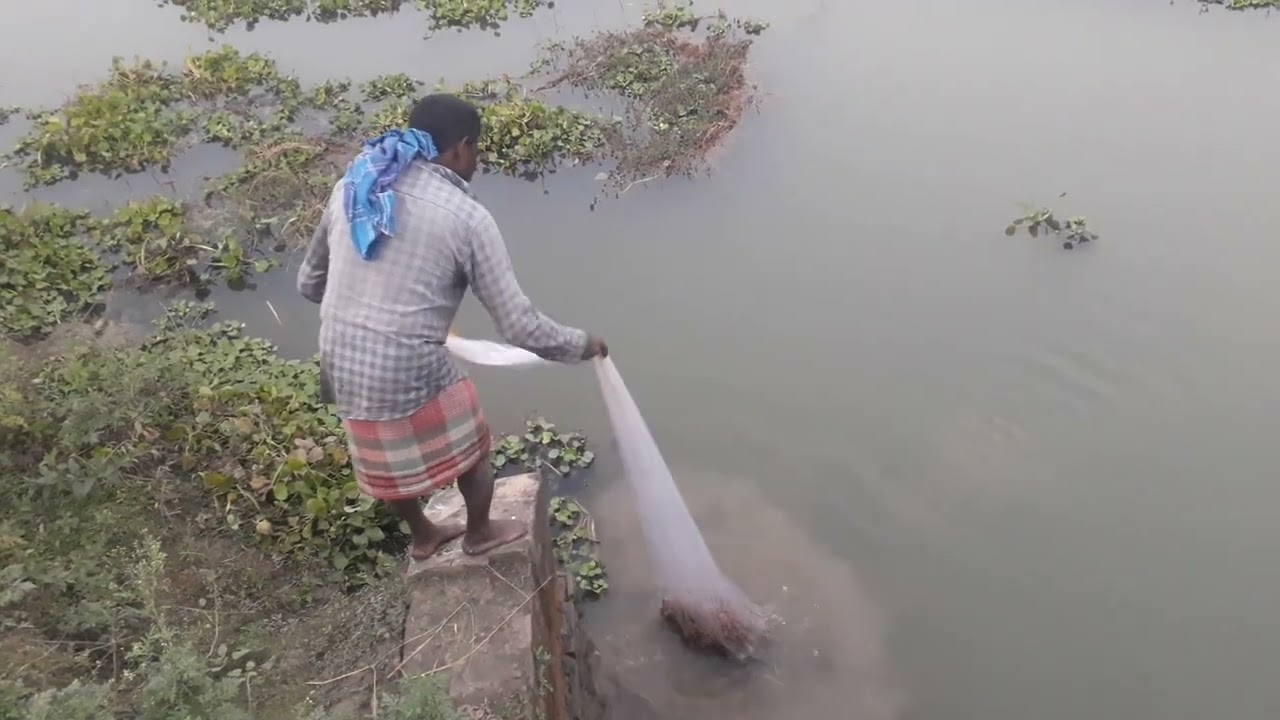 Bamangram Village fishing 2024