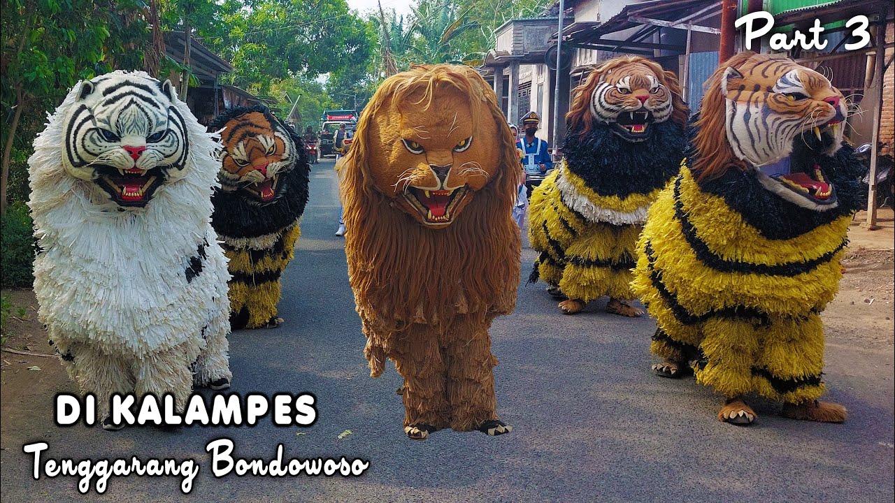 KIRAB CAN MACANAN DAN DRUMBAND SINGO MANGGALA DI KALAMPES TENGGARANG BONDOWOSO PART3.mp4