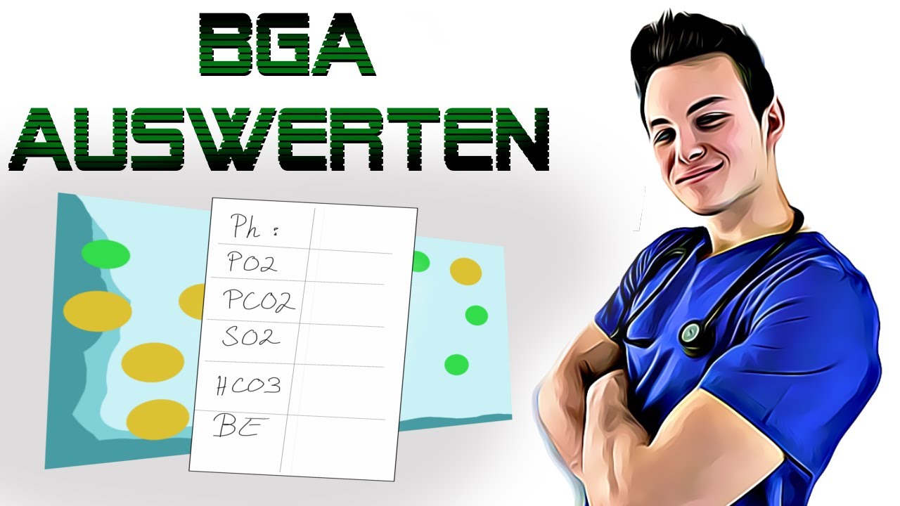 BGA Auswerten EKRLÄRT! Prüfungshilfe für Fachkurs und ATA´s!