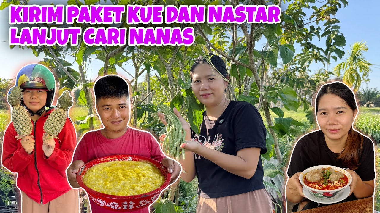 COBAIN BAKSO KUAH NYOR-NYOR PEDAS, LANJUT PANEN KACANG PANJANG