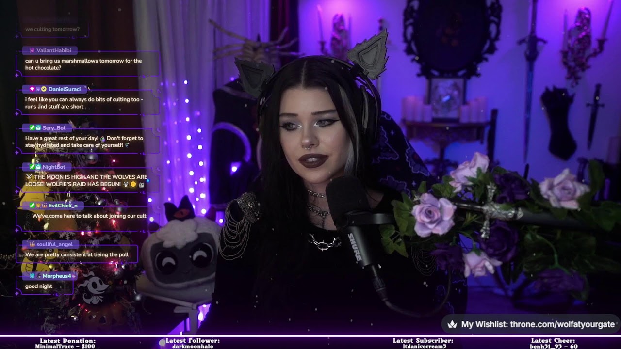 ✨Live : Second To Last Stream Of 2025!✨