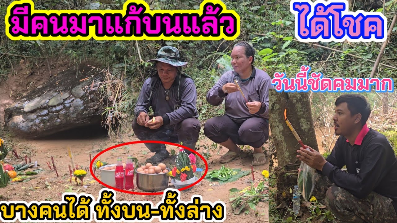คนยังคงหลั่งไหลมาเรื่อยๆ ขนลุกมาก‼️น้ำลดเงางามคมชัดจริงๆท่านหินงูยักษ์ ลำตัวยาวมาก #เขาค้อเพชรบูรณ์ 