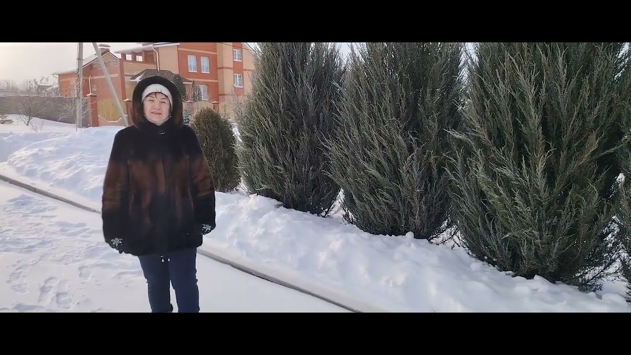 Прогулка 