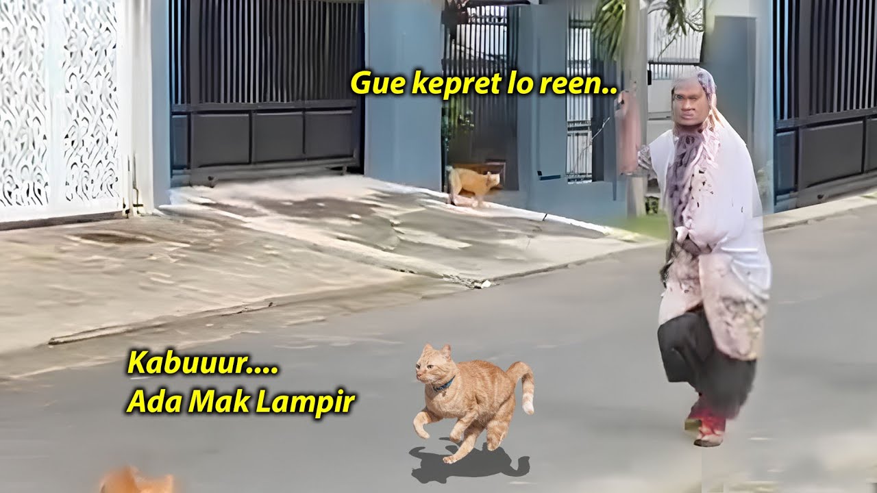 NGAKAK !!😂 Kucing Oren Ketahuan Emak Lagi Pacaran, Emak Bawain Kayu Biar Pulang ~ Kucing Lucu