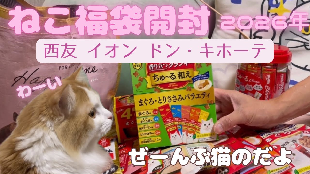 2026年ねこと一緒に福袋開封する