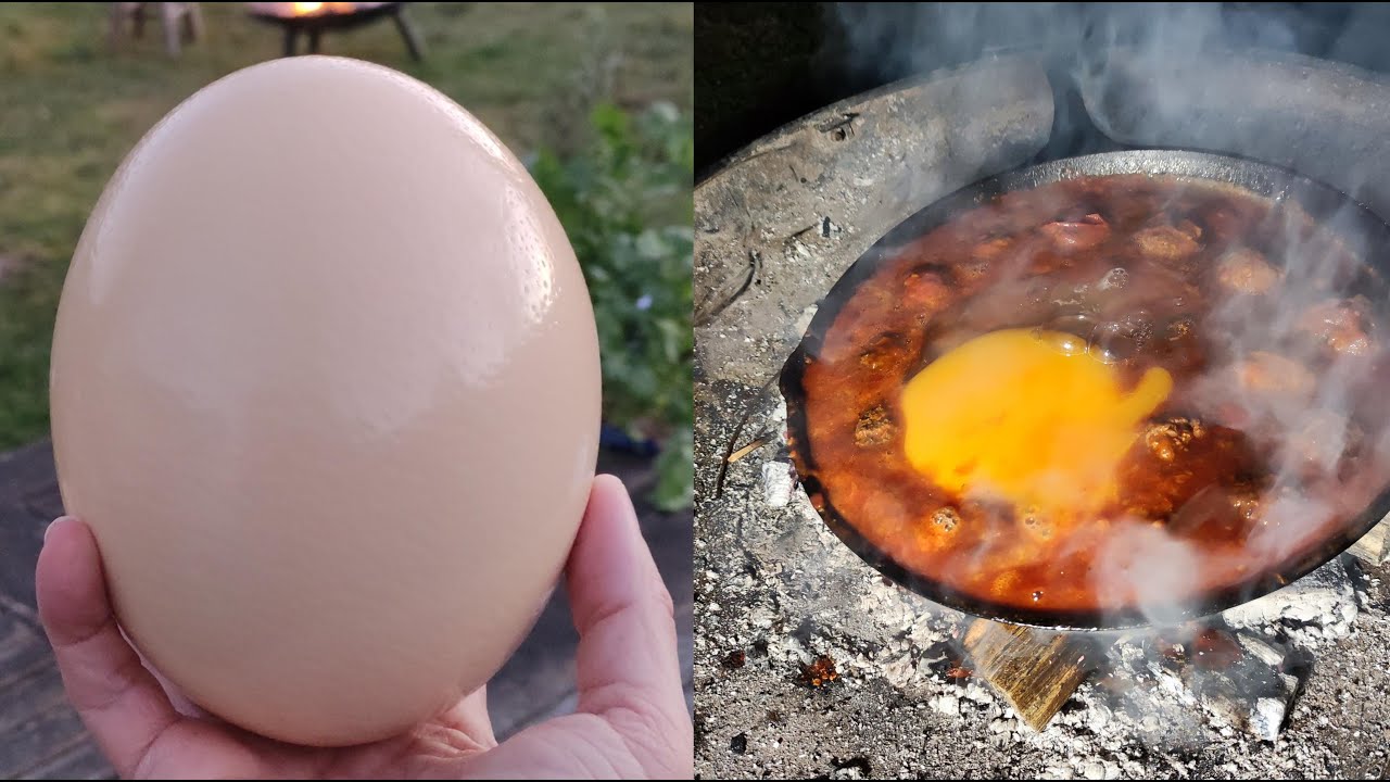 Ostrich egg with minced meatballs and tomato