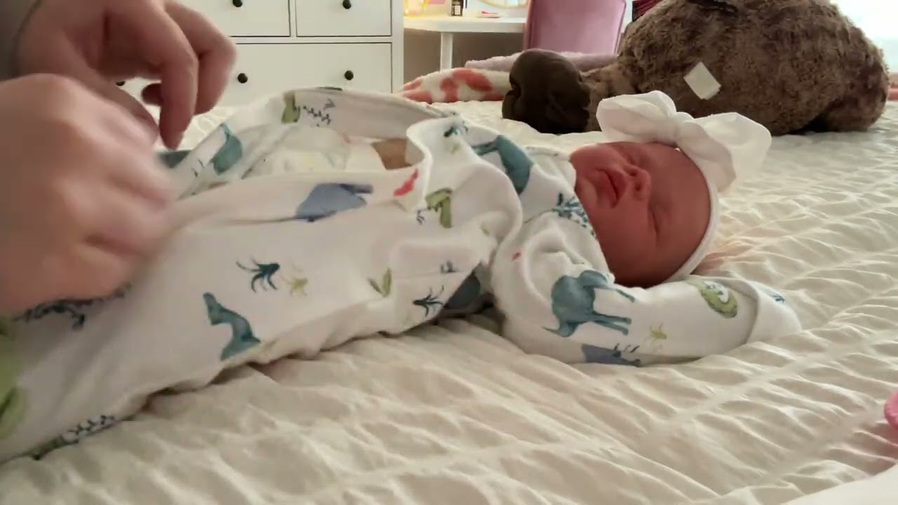 Afternoon with reborn raine!