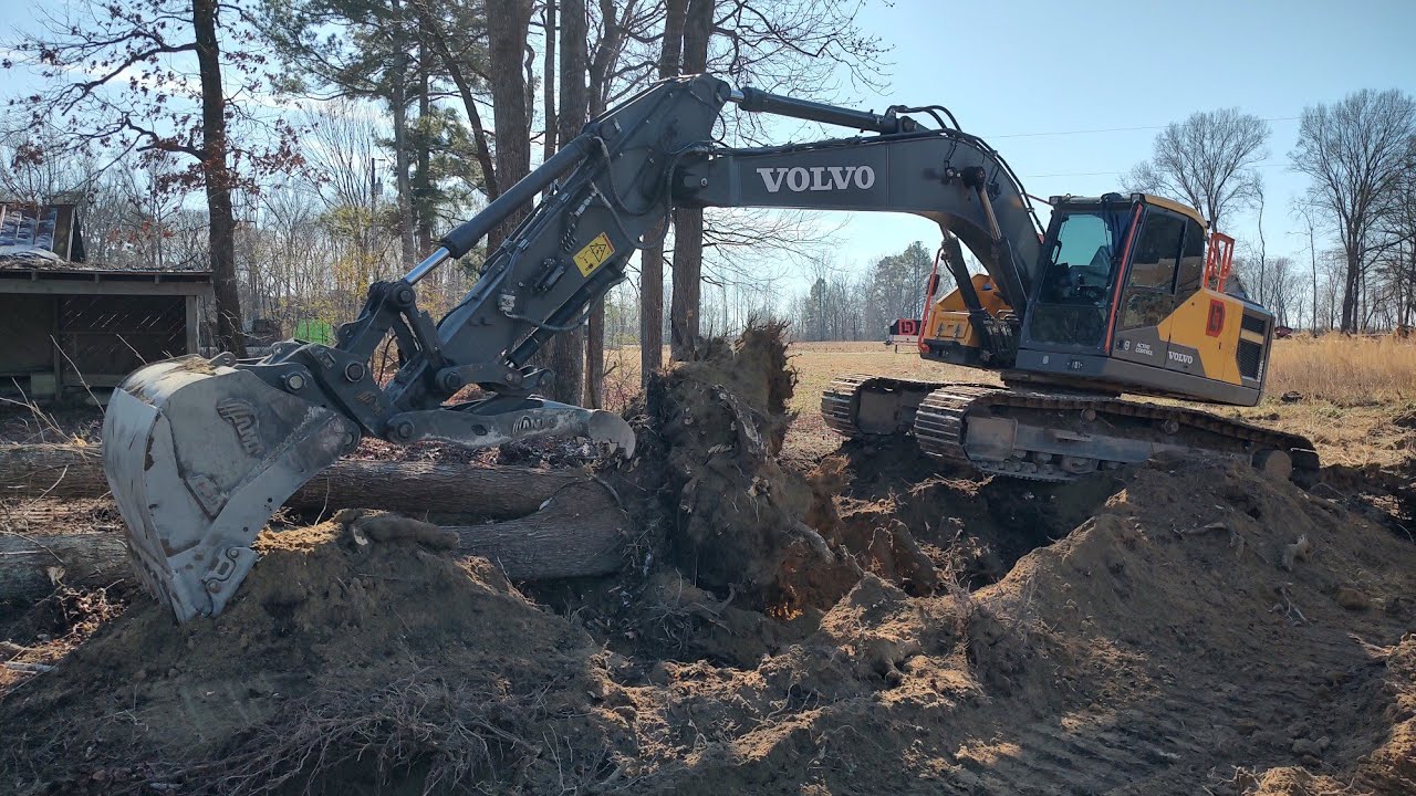 More Trees Come Down And Shop Work