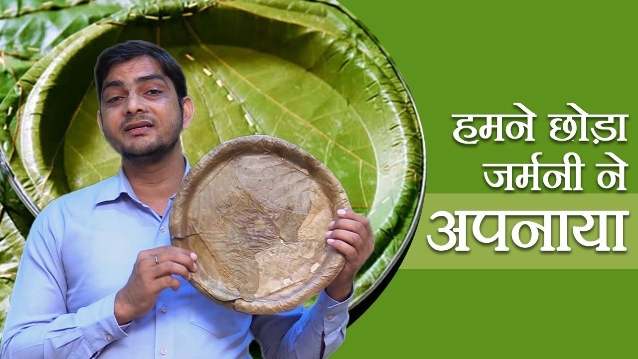 Plastic Ban: Leaf Plates vs Thermocol Plates - Is Patravali The Future?