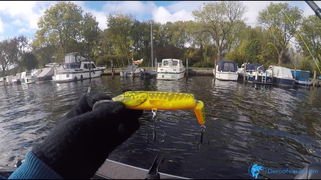 Salmo Pike: topkunstaas voor snoek