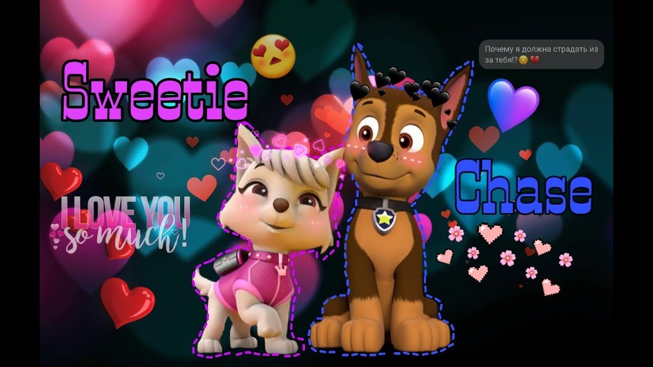 💎Chase × Sweetie💎~for adventure for life channel/🌠Гонщик и Свитти🌠~для канала adventure for life