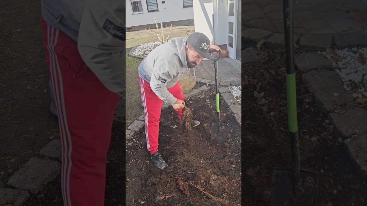 Einsatz in 4 W&auml;nden