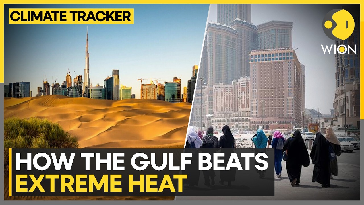 Europe's Heatwave Sparks Interest in Gulf Cooling Measures | WION Climate Tracker
