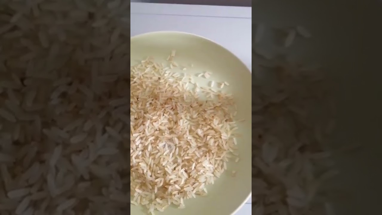 Manifest money using Rice And Coin