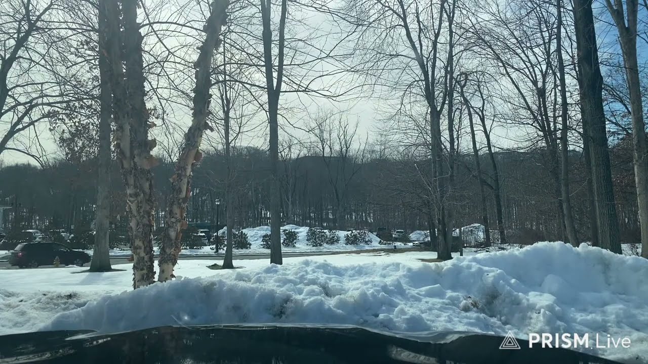 New York City Live Drive From CT March 2, 2026