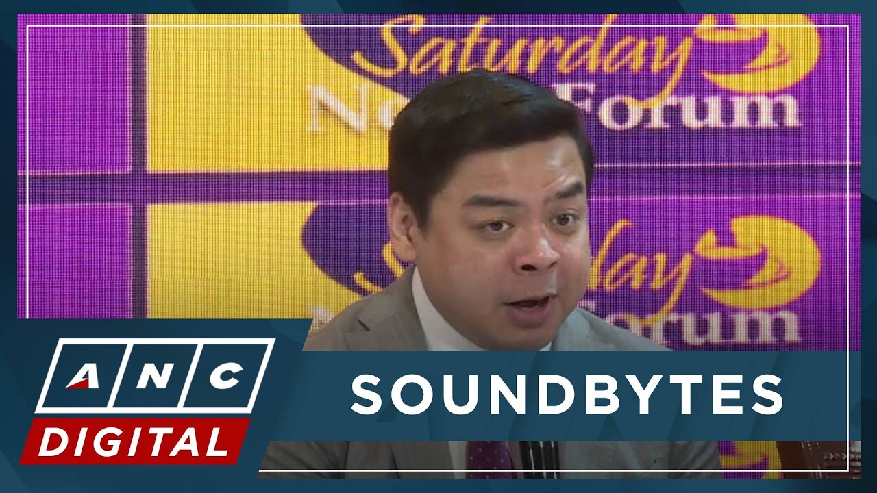 Ridon sees no political instability if Duterte ICC trial, VP Sara impeachment coincide | ANC