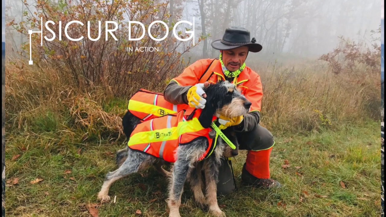 SicurDog: Leggero, Morbido, Impenetrabile e pressochè 