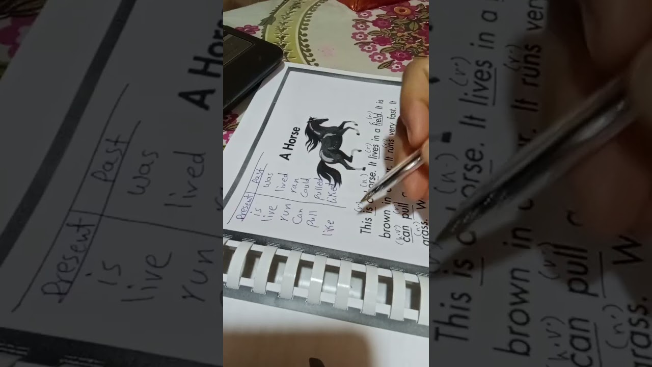 قطعة للفهم .....a horse 