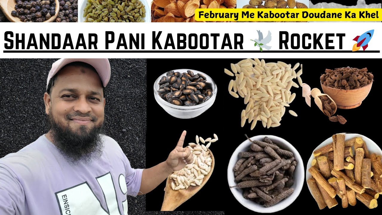 Koi Nahi Batayega Ye Khel Pani🤫||Kabootar Ko February Me Doudane Ka Khel||@pigeonscarefactory5328