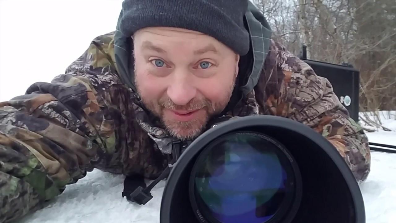 Wildlife Photography Pro Tips #1--Winter Wildlife!