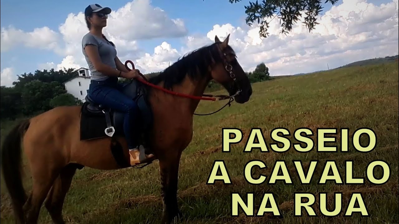 Passeio a cavalo na RUA: encontramos um POTRO e invadimos terreno...