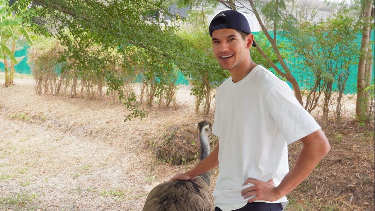 Visitando el refugio por primera vez en 7 años